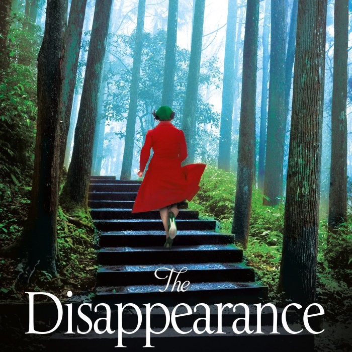 THE DISAPPEARANCE Out Now!