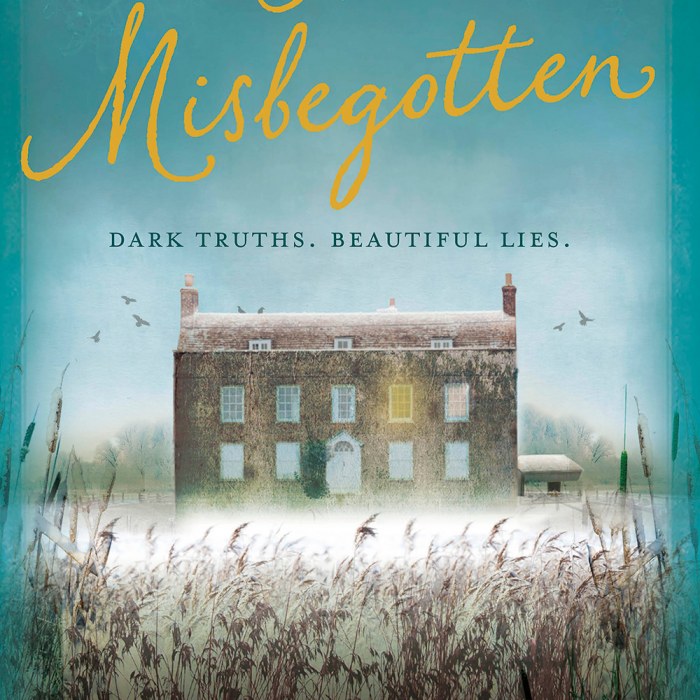 The Misbegotten Review - Novelicious